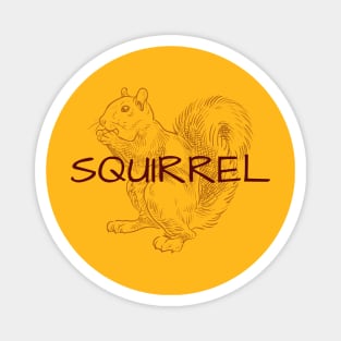 Squirrel Magnet